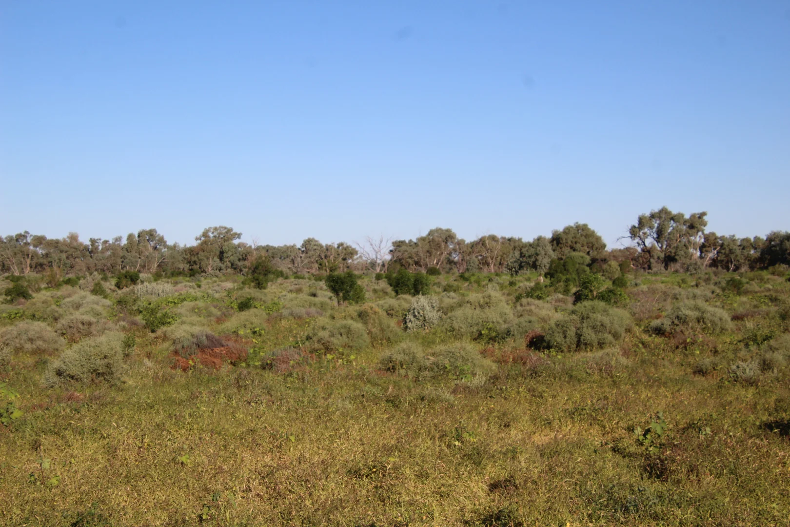 Image 11