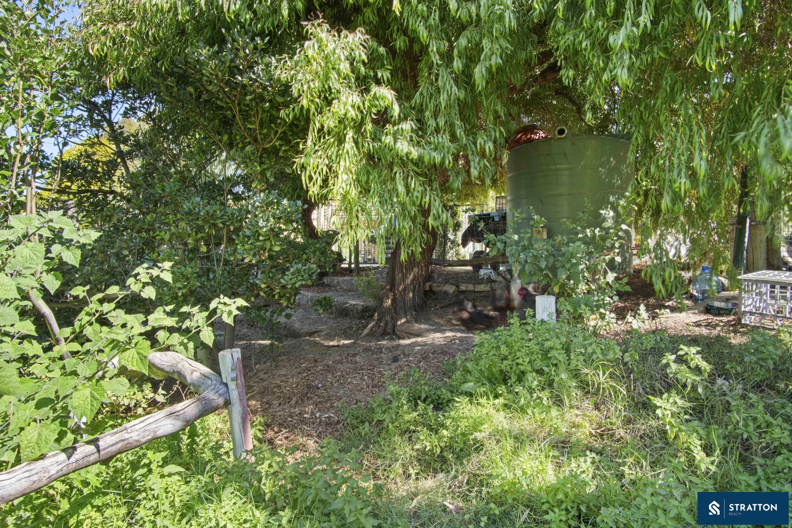 Image 31
