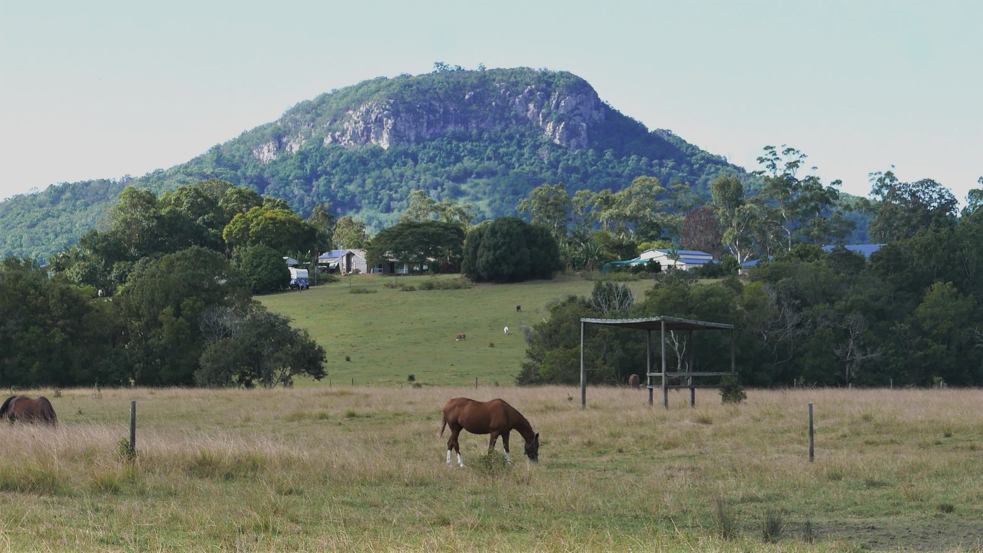110 Yandina Bli Bli Road, Yandina Property History & Address