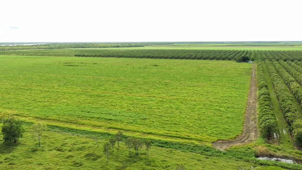 Additional image 24 of 3 Comiskey Road, Giru QLD 4809