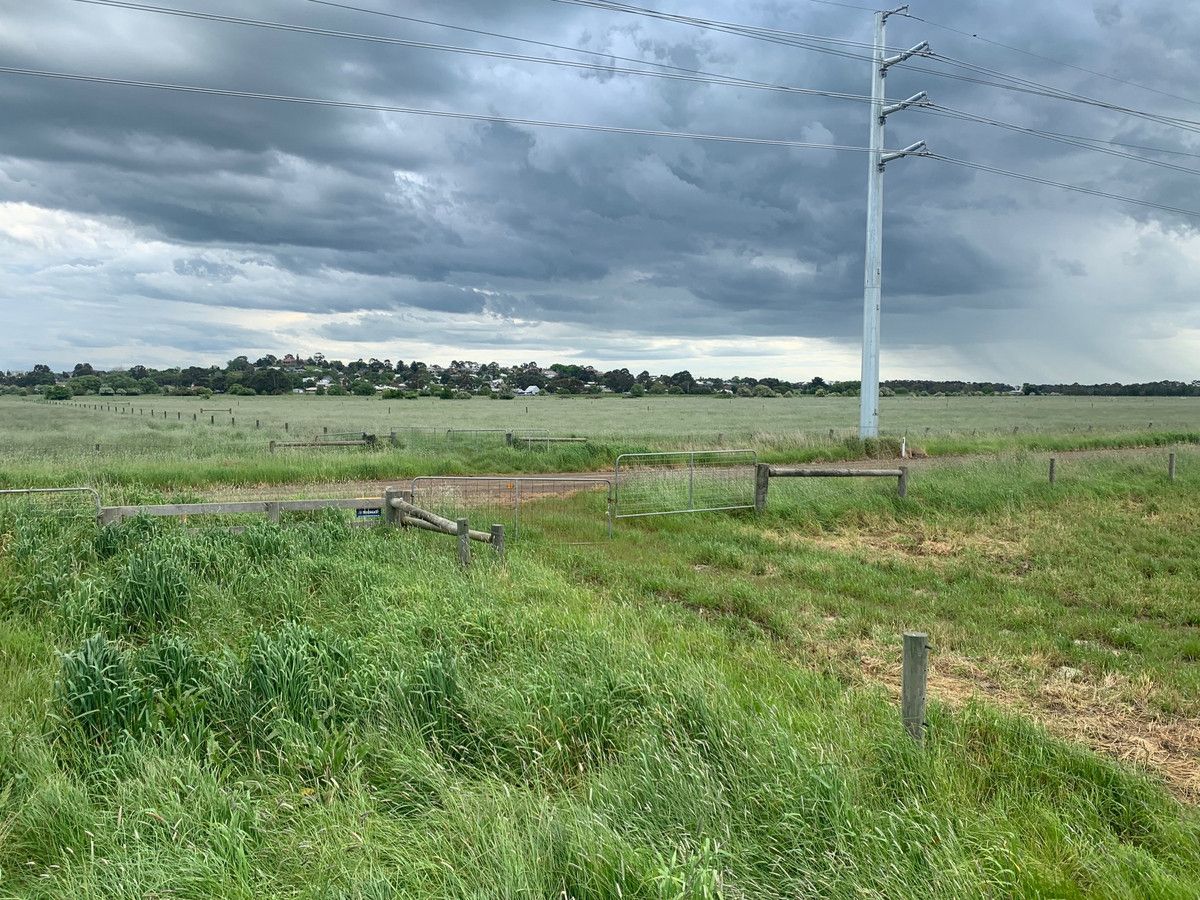 14 Terang Mortlake Road, Terang VIC 3264 House for Sale Domain