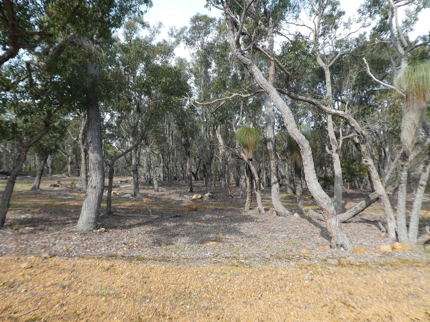 8 Crouch Court, Mount Barker WA 6324 - Vacant Land for ...