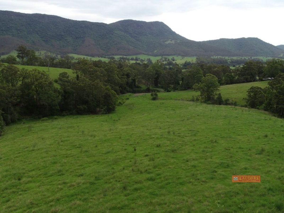 Lot 10, 1270 Nowendoc Road, Mount George NSW 2424, Image 2