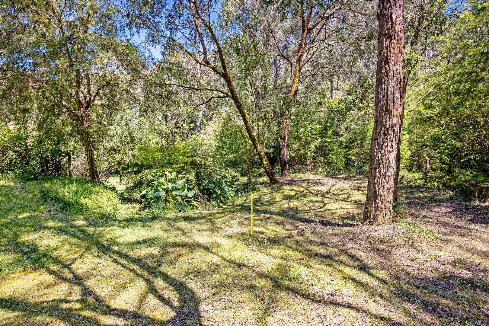 7 Cornelius Crescent, Healesville VIC 3777, Image 1