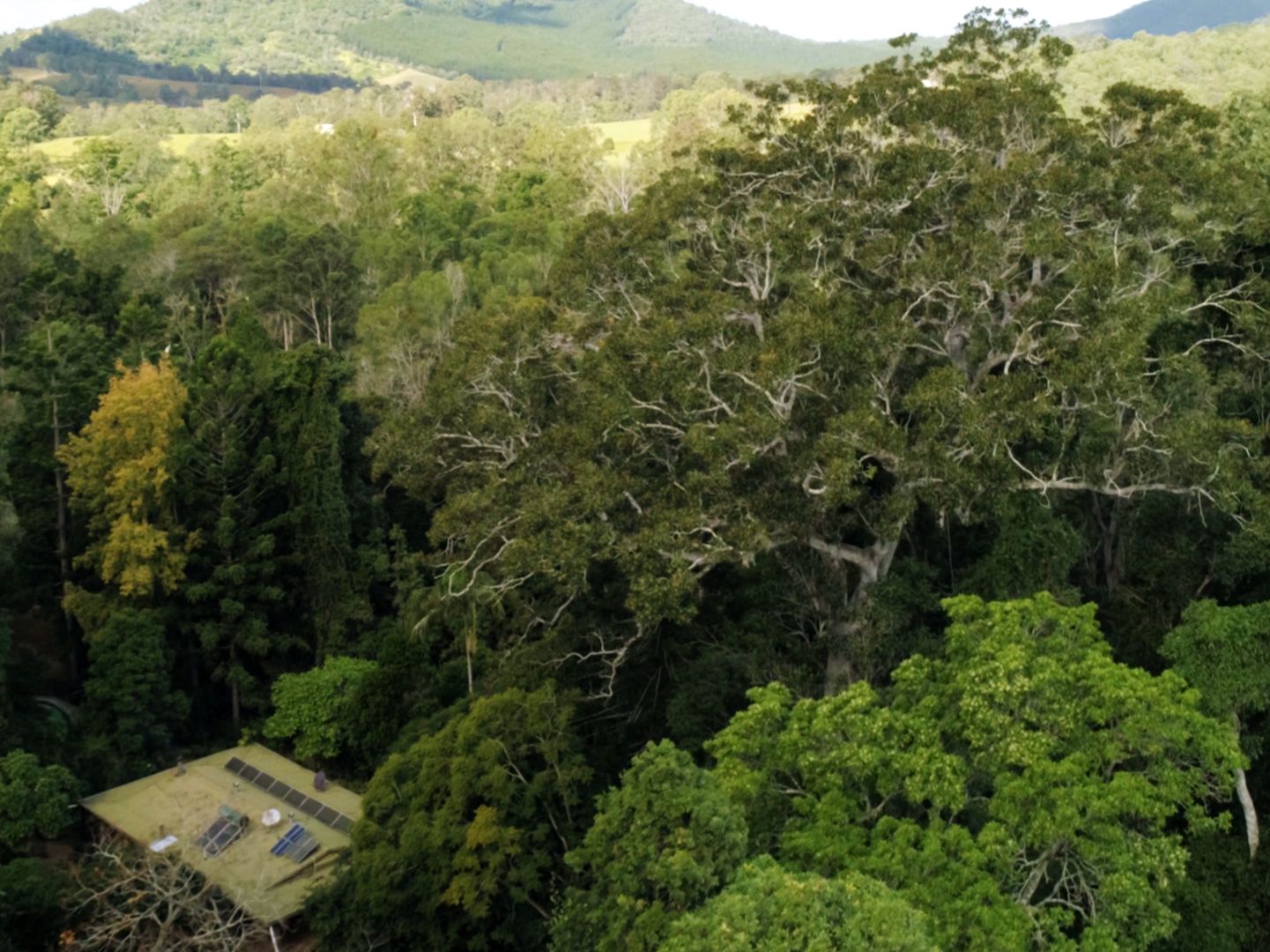 Brooloo QLD 4570, Image 1