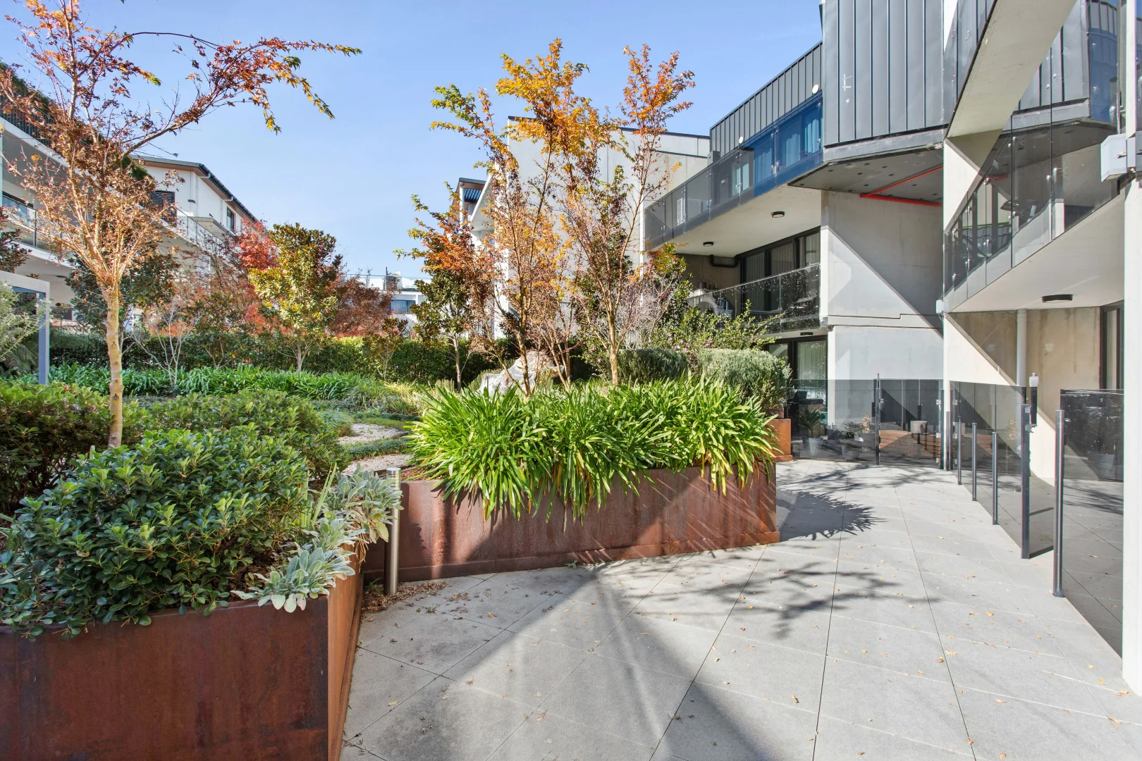Image 10