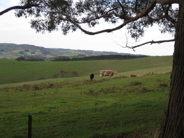 Lot 201 Springmount Road, Myponga SA 5202, Image 1