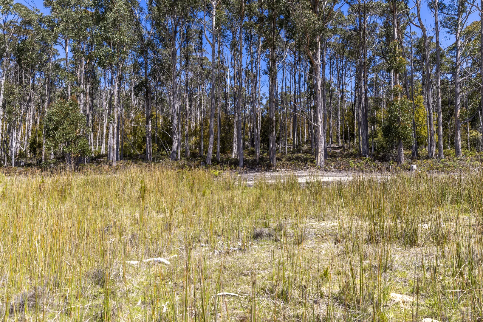 Image 13