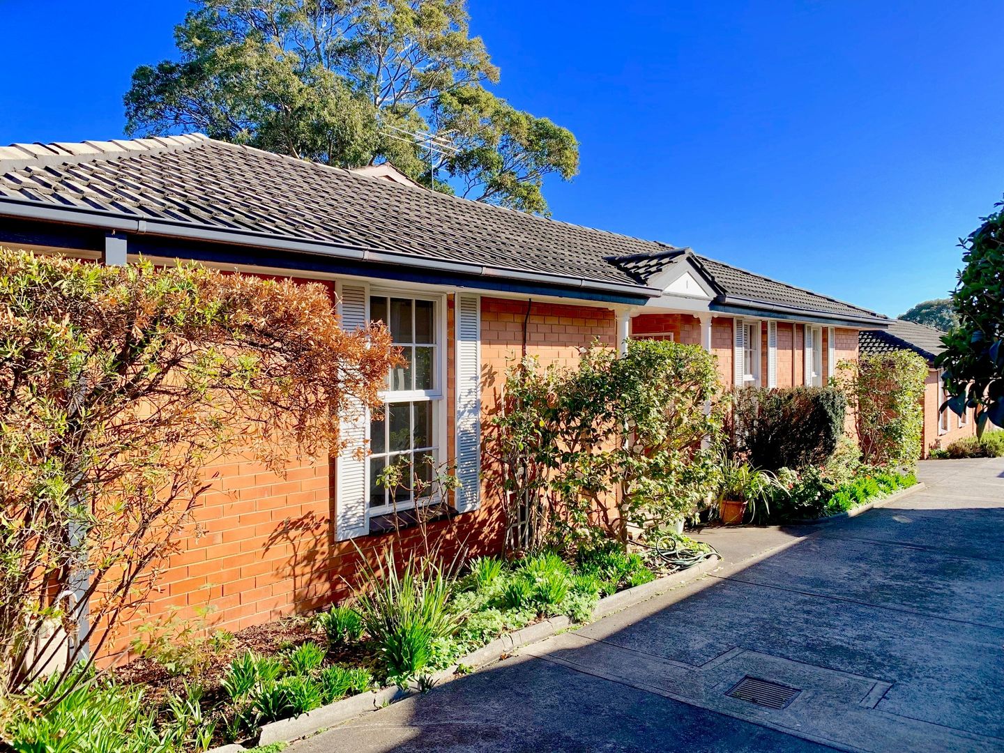 1/5 Howard Street, Glen Iris Property History & Address Research Domain