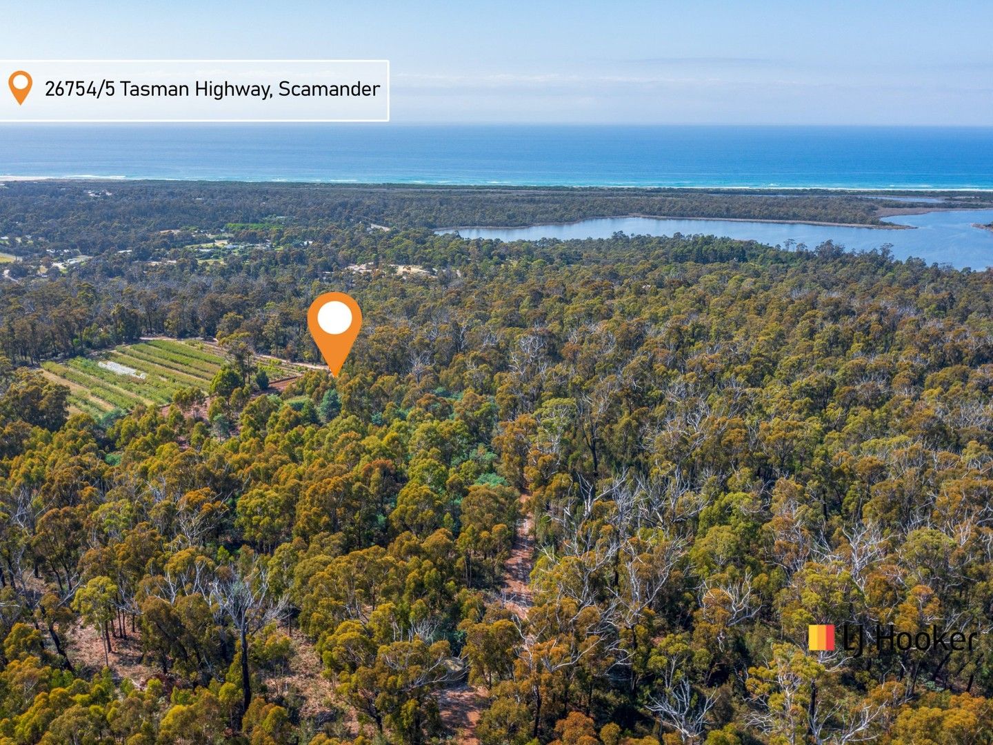Vacant land in 26754/5 Tasman Highway, SCAMANDER TAS, 7215