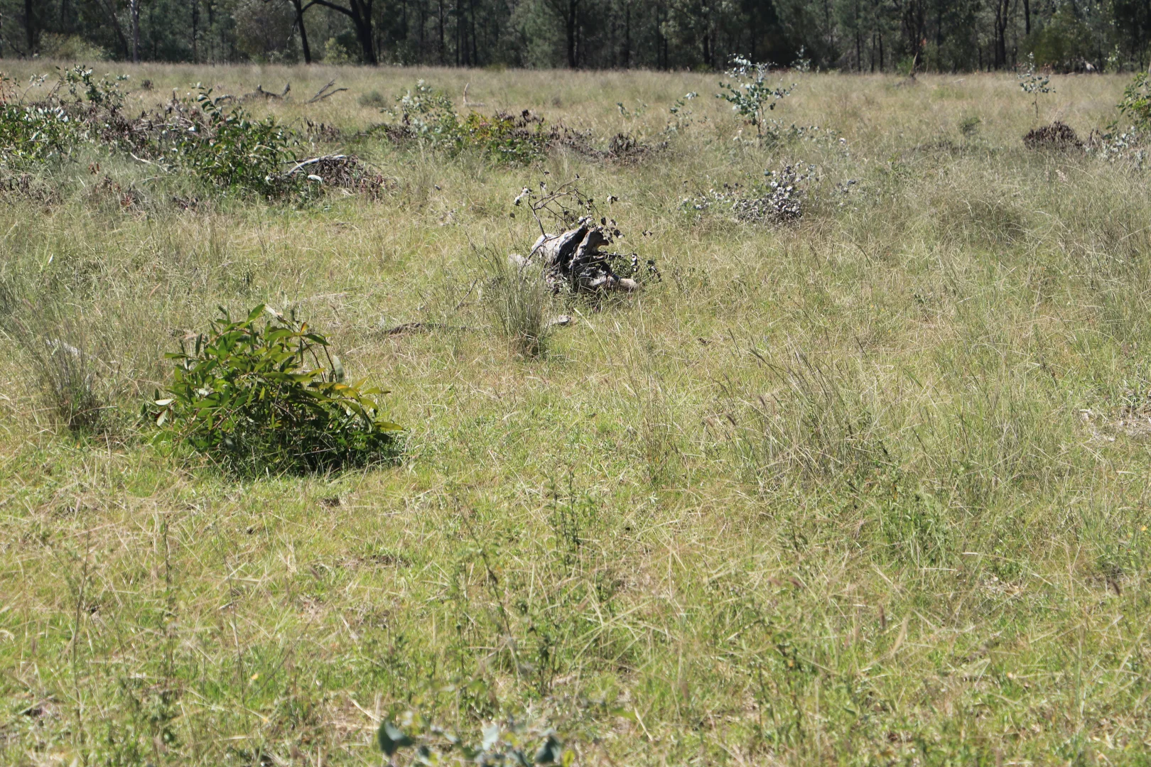 Image 21