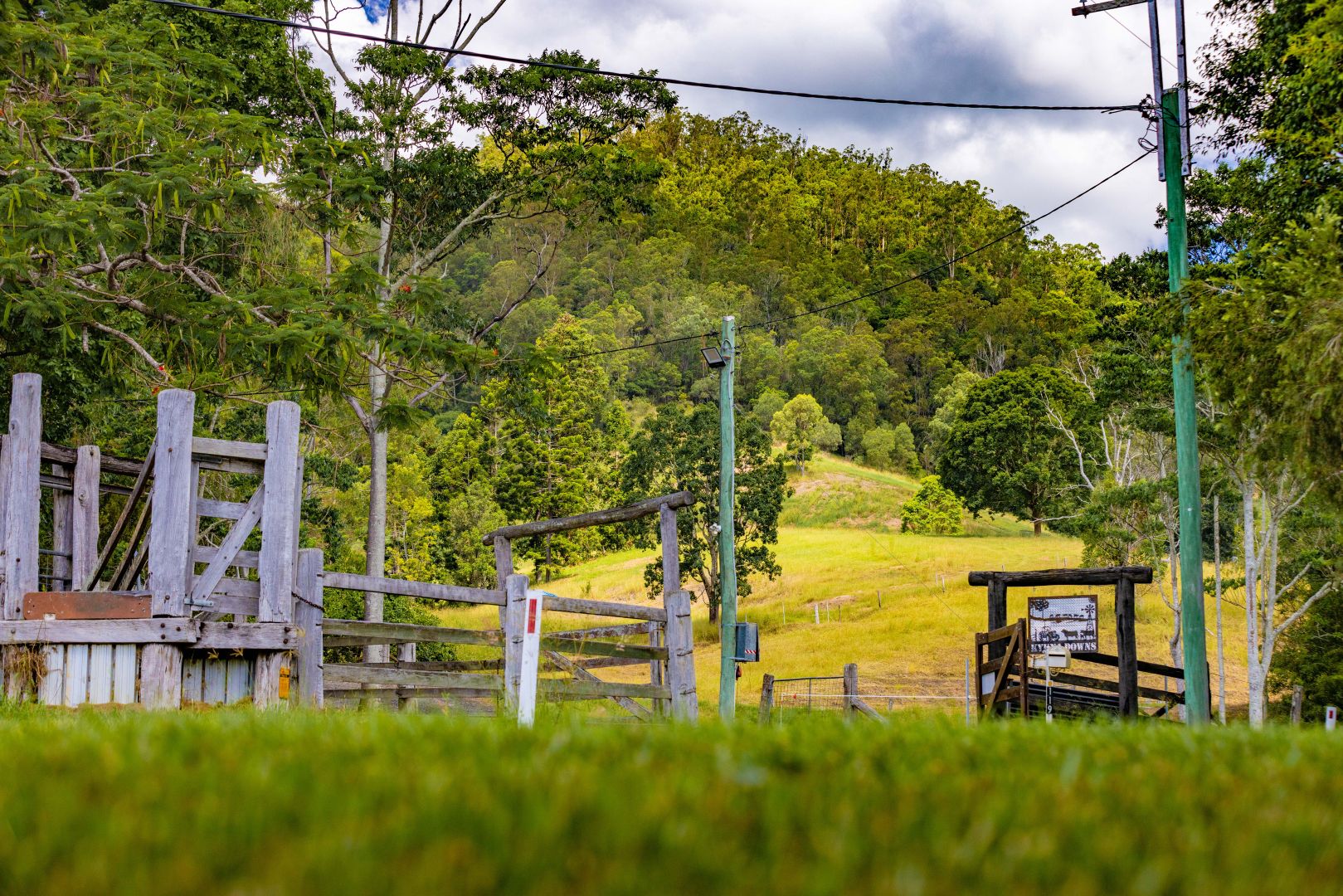 119 Perrys Road, Kidaman Creek QLD 4574 House for Sale Domain