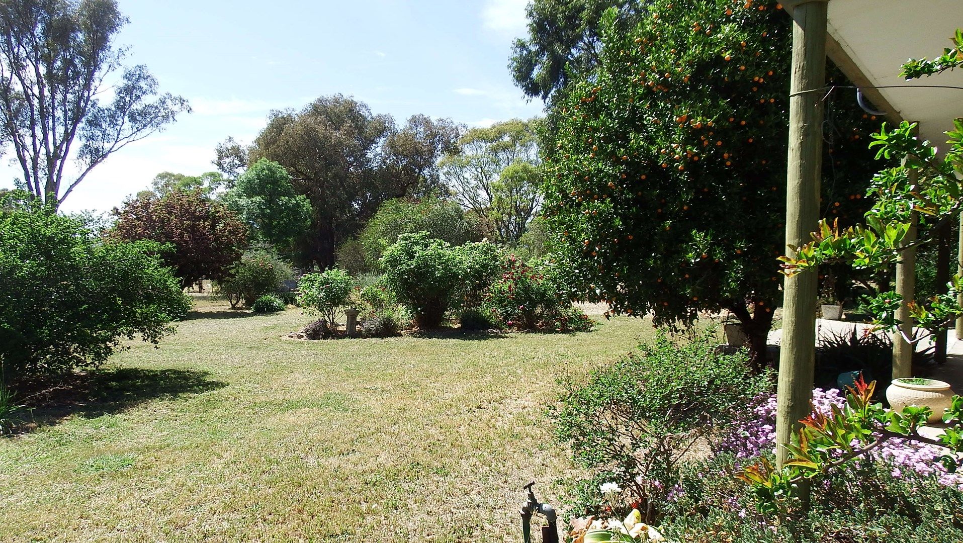 291 Walters Road, Euroa VIC 3666, Image 0