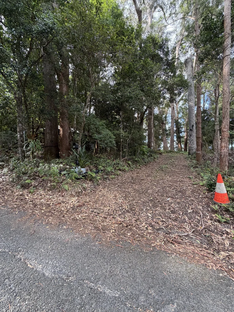 Additional image 7 of Springbrook QLD 4213