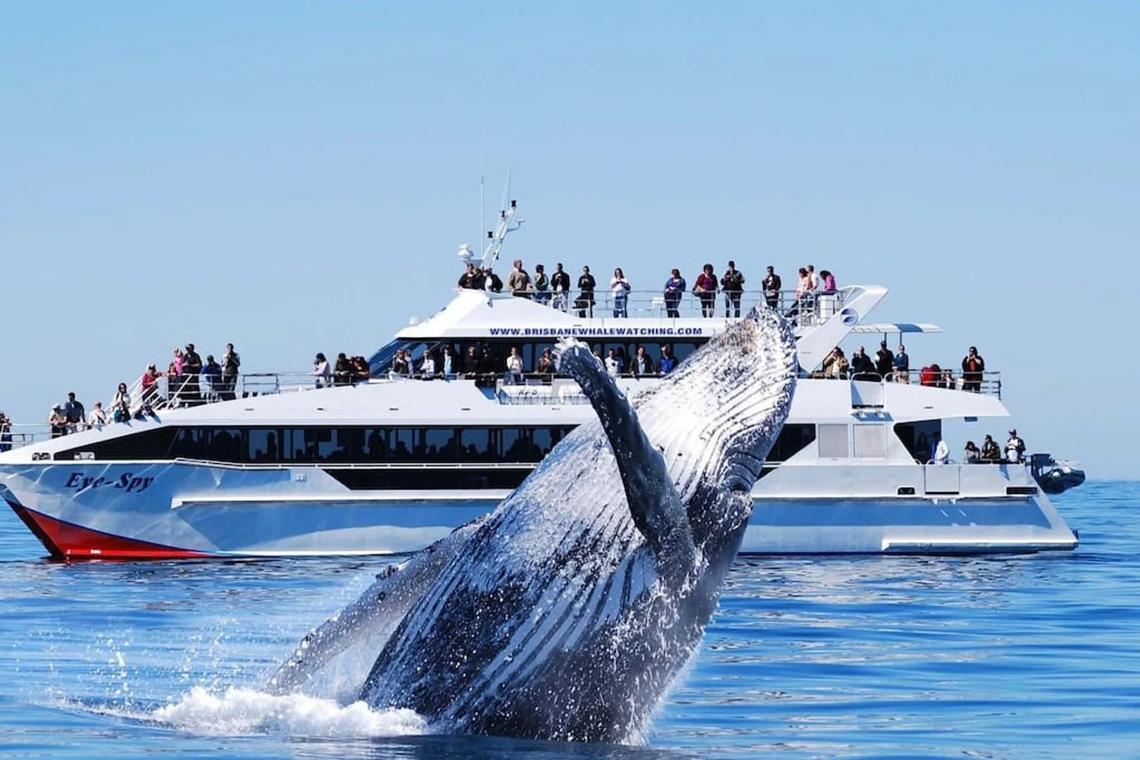 Additional image 18 of 9 - 15 Central Ave, Manly NSW 2095