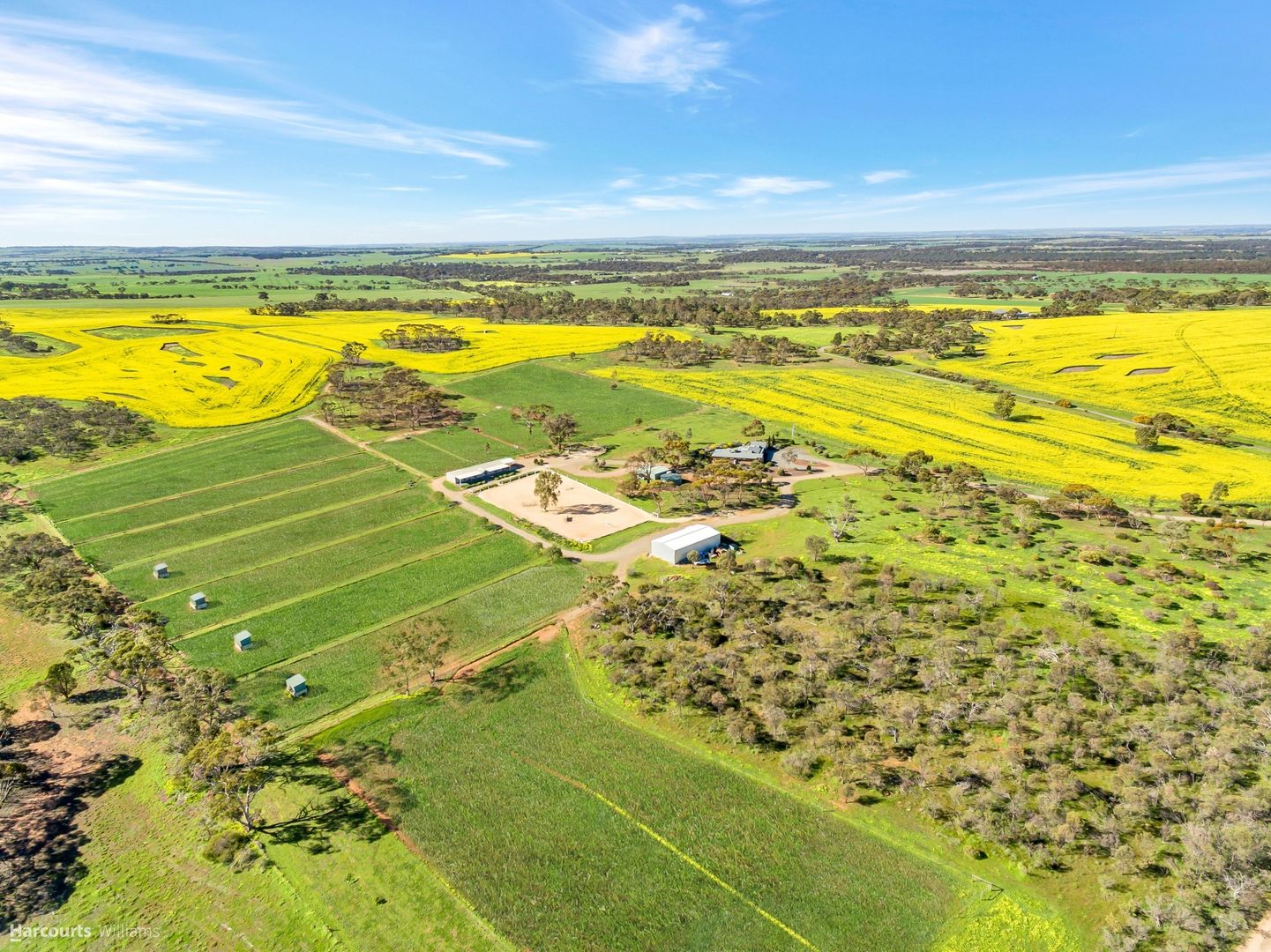 136 Hartmann Road, Monarto SA 5254, Image 1