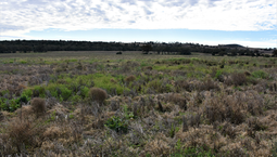 Picture of Lot 15 Leyburn Valley, GUNNEDAH NSW 2380