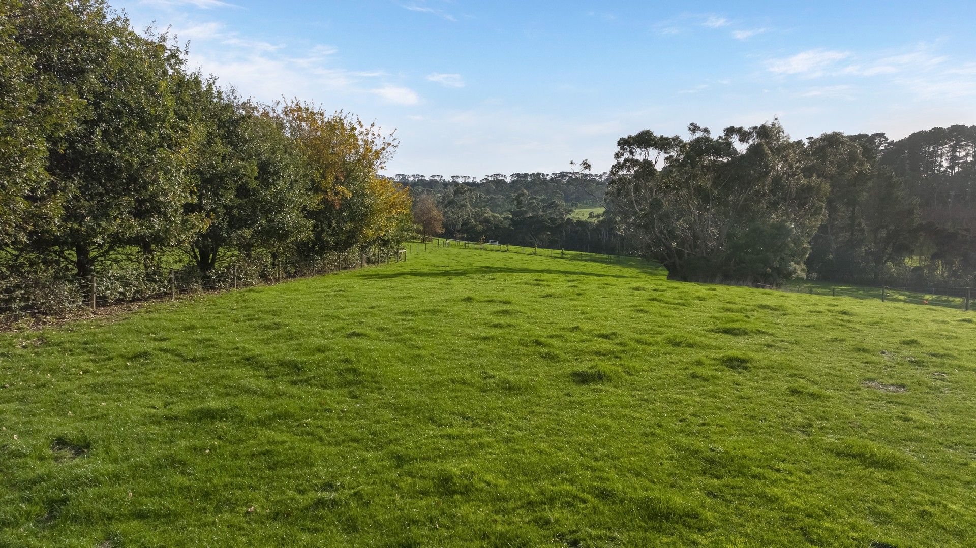 9 Kentucky Road, Merricks North VIC 3926 House for Sale Domain