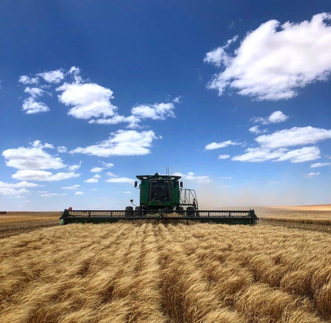 Murrayville VIC 3512 House for Sale Domain