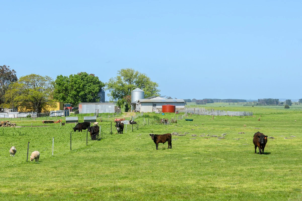 Additional image 25 of 170 Allans Road, Framlingham VIC 3265