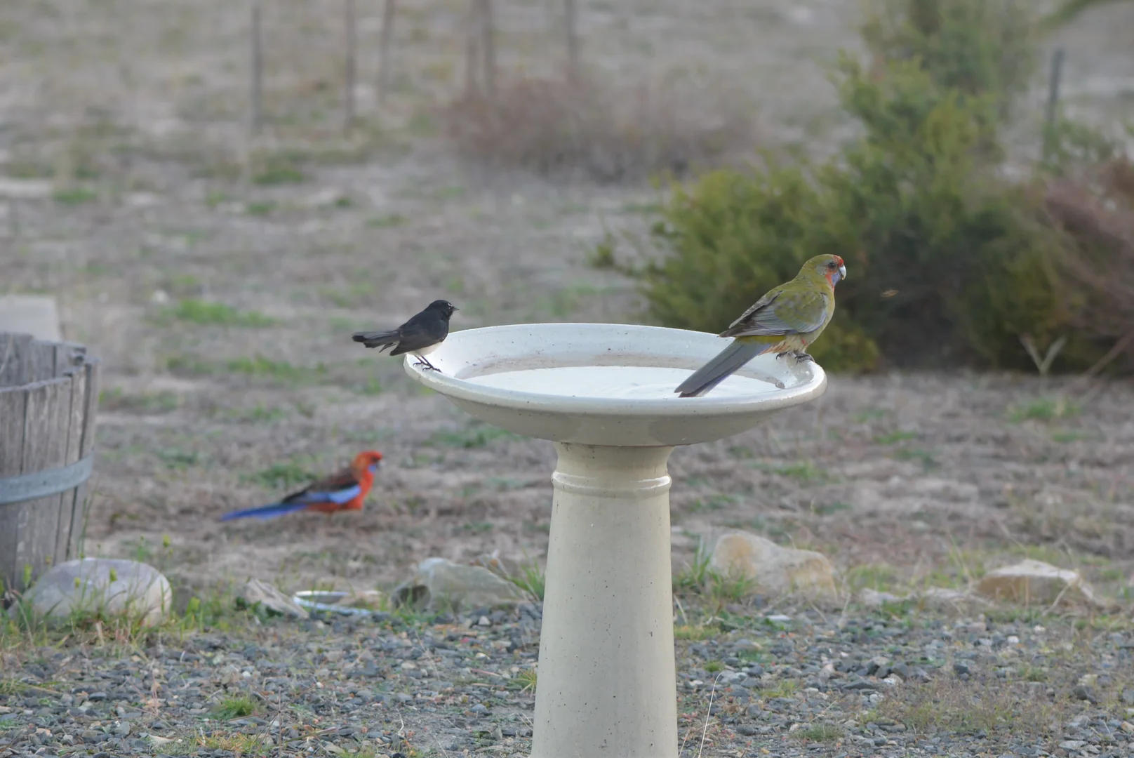 Image 79