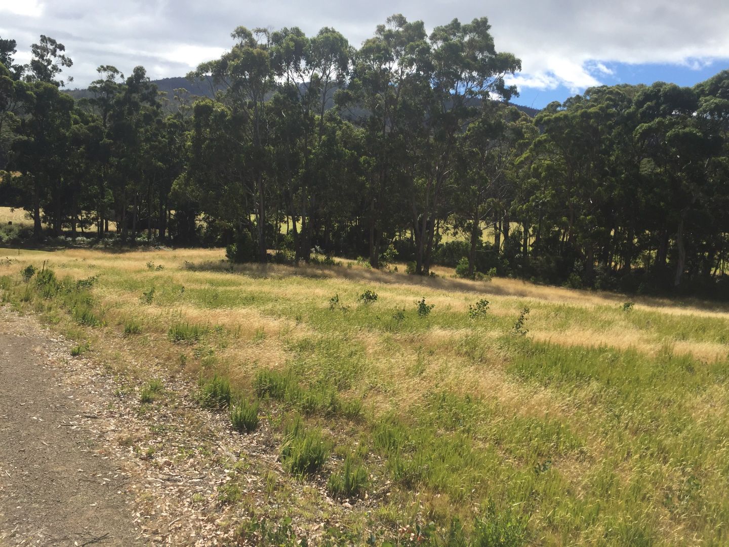 Lot 6 Cloudy Bay Road, Lunawanna TAS 7150, Image 2