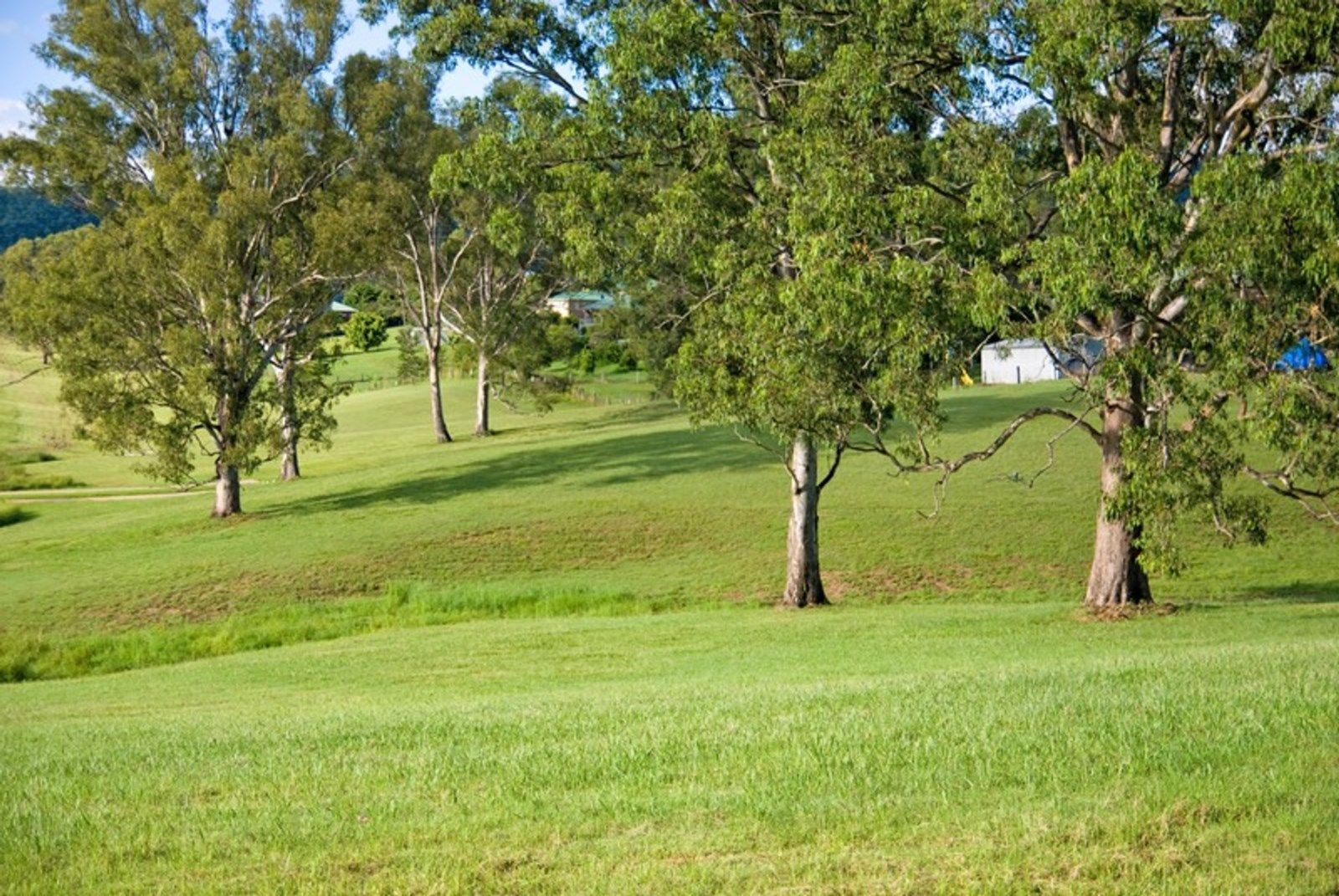 LOT 6 Haigh Crescent, Samford Valley QLD 4520, Image 2