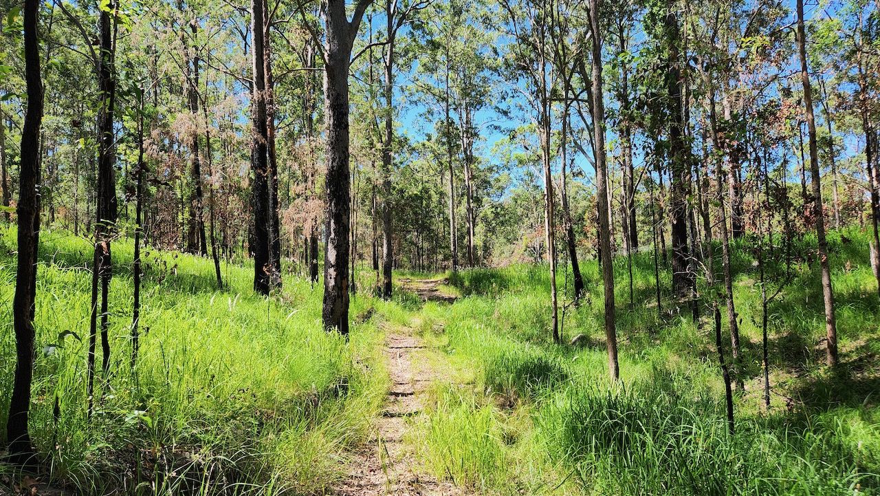Goodla Rd Bellthorpe, Sandy Creek QLD 4515 vacant land for Sale, Price