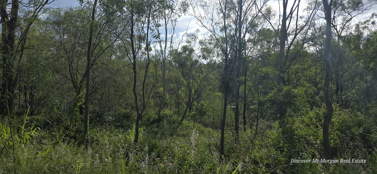 Image 20