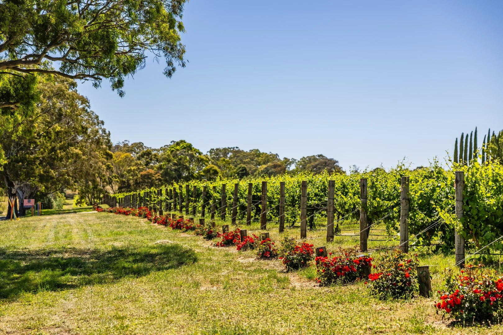 Additional image 28 of 72 Bird in Hand Road, Woodside SA 5244