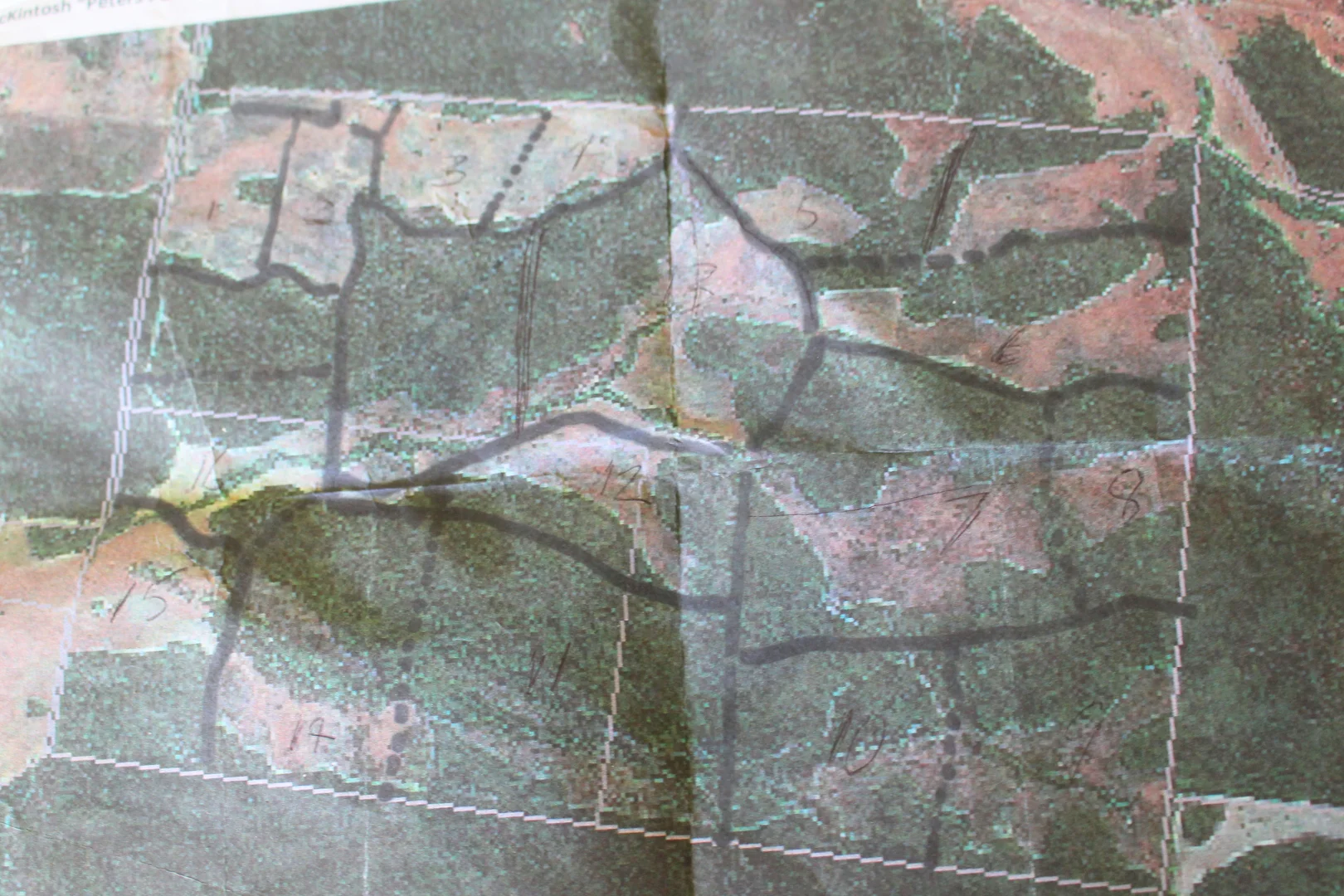 Image 37