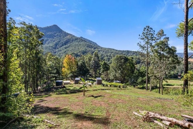 Picture of 1897 KYOGLE ROAD, TERRAGON NSW 2484