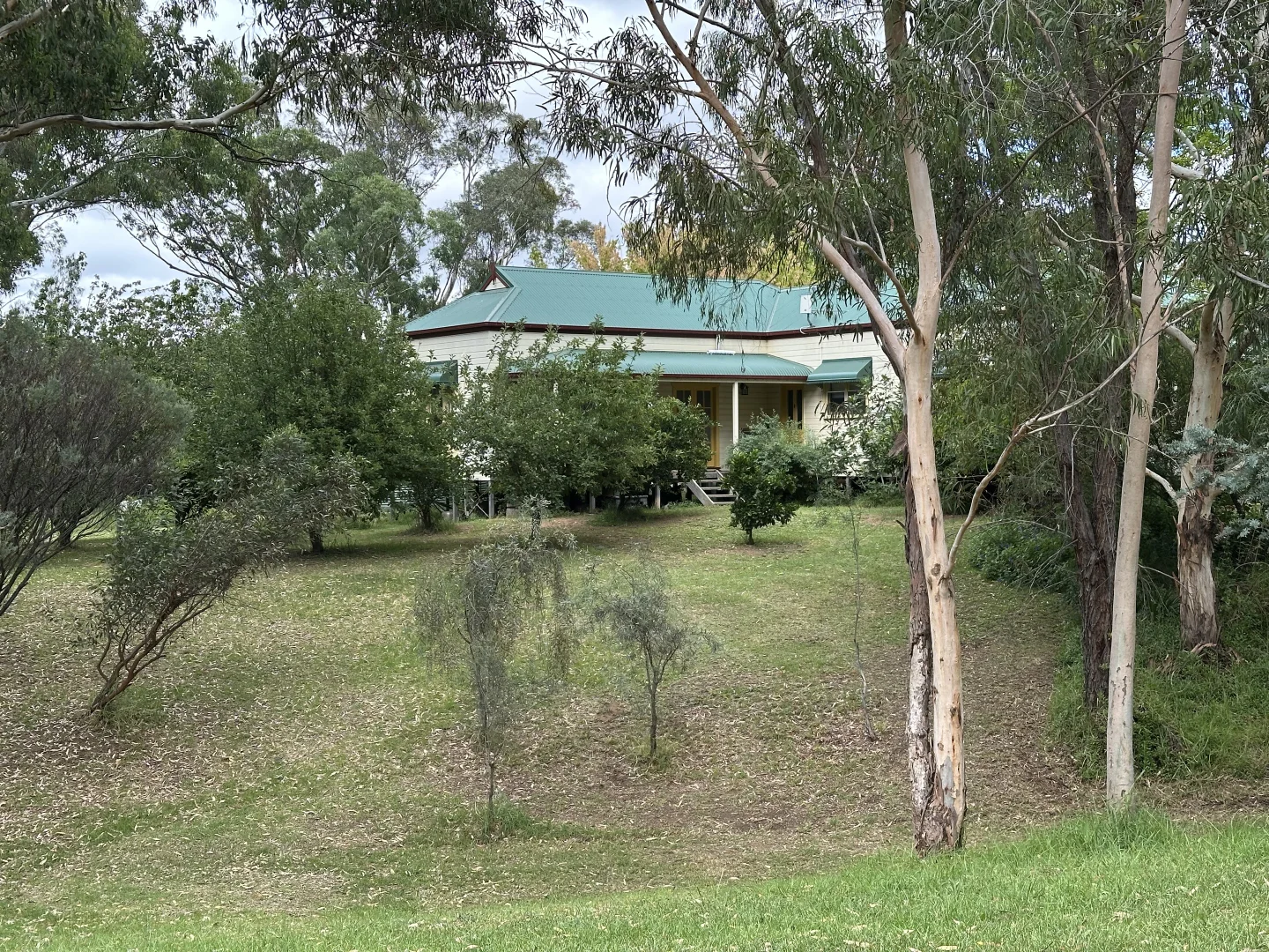 Image 6