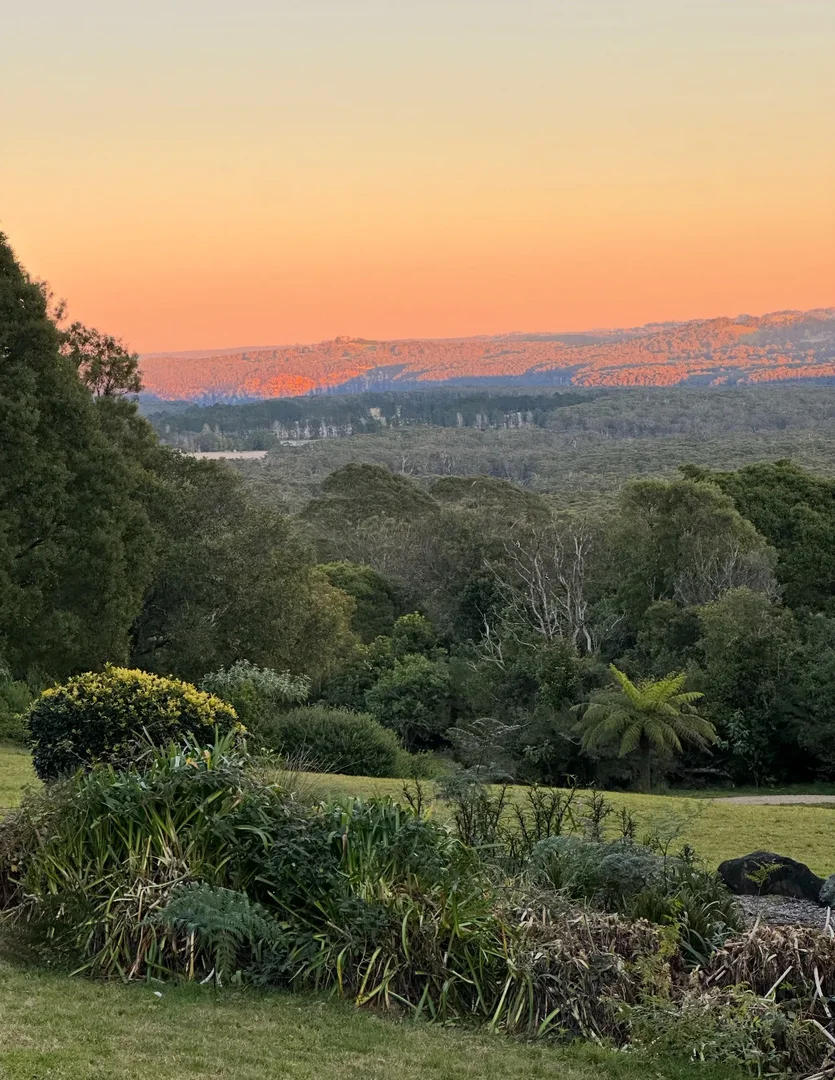 Additional image 22 of 1510 Jamberoo Mountain Road, Jamberoo NSW 2533