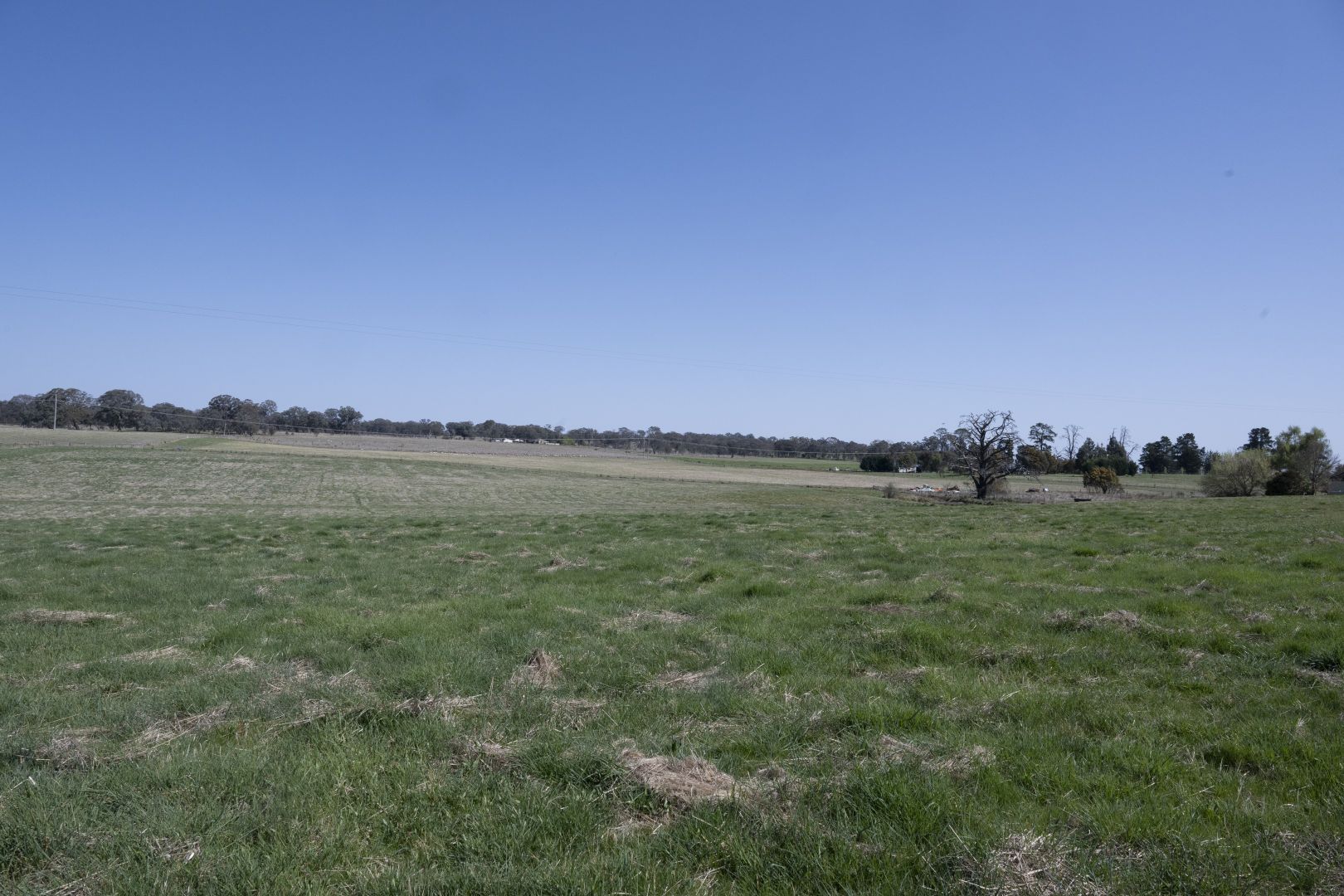 Lot 1 Fanning Road, Mullion Creek NSW 2800, Image 1