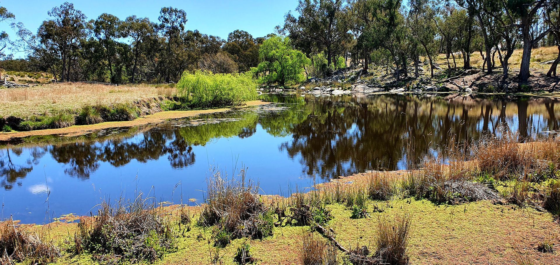 "Rockdale" Rayners Road, Deepwater NSW 2371 House for Sale Domain