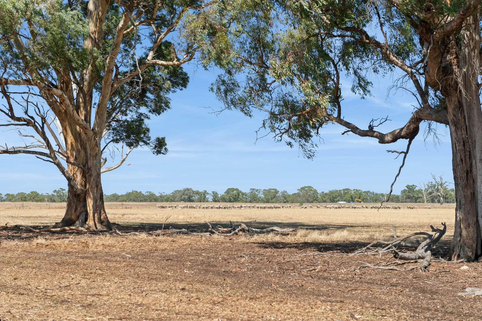 Additional image 10 of Lots 2&3 Whatleys Road, Goornong VIC 3557