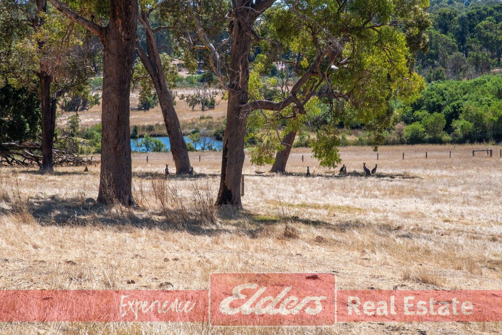 Vacant land in 57 Thomson Street, DONNYBROOK WA, 6239