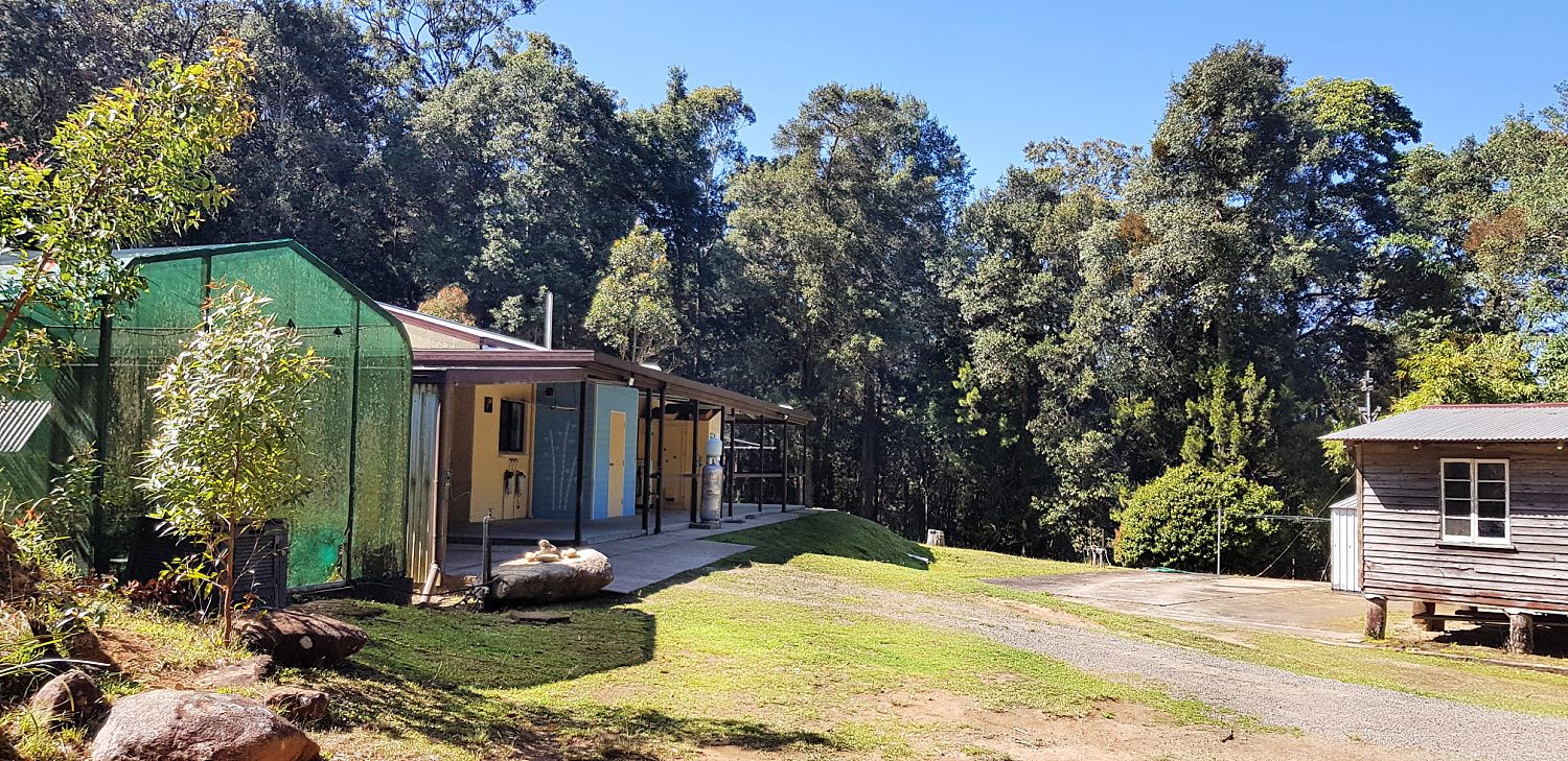 56 ster Rd, Wondecla QLD 4887 House for Sale 699,000 Domain