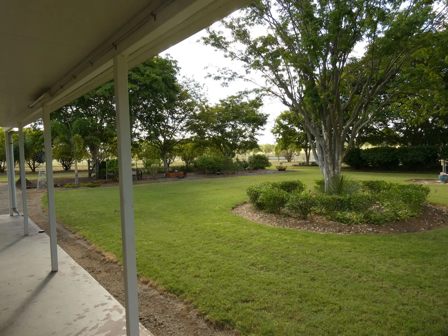 Image 9