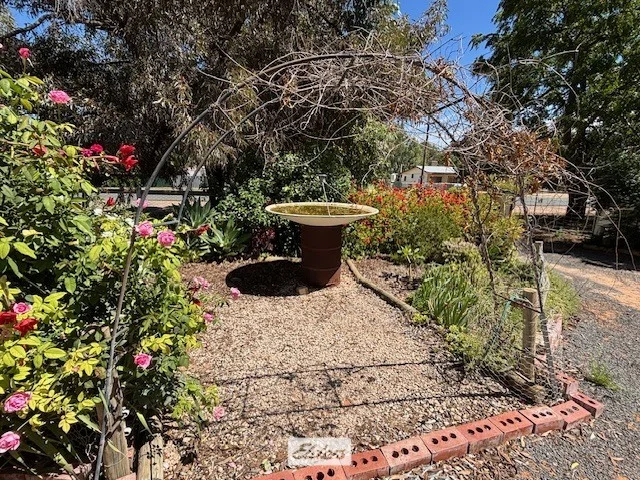 Image 31