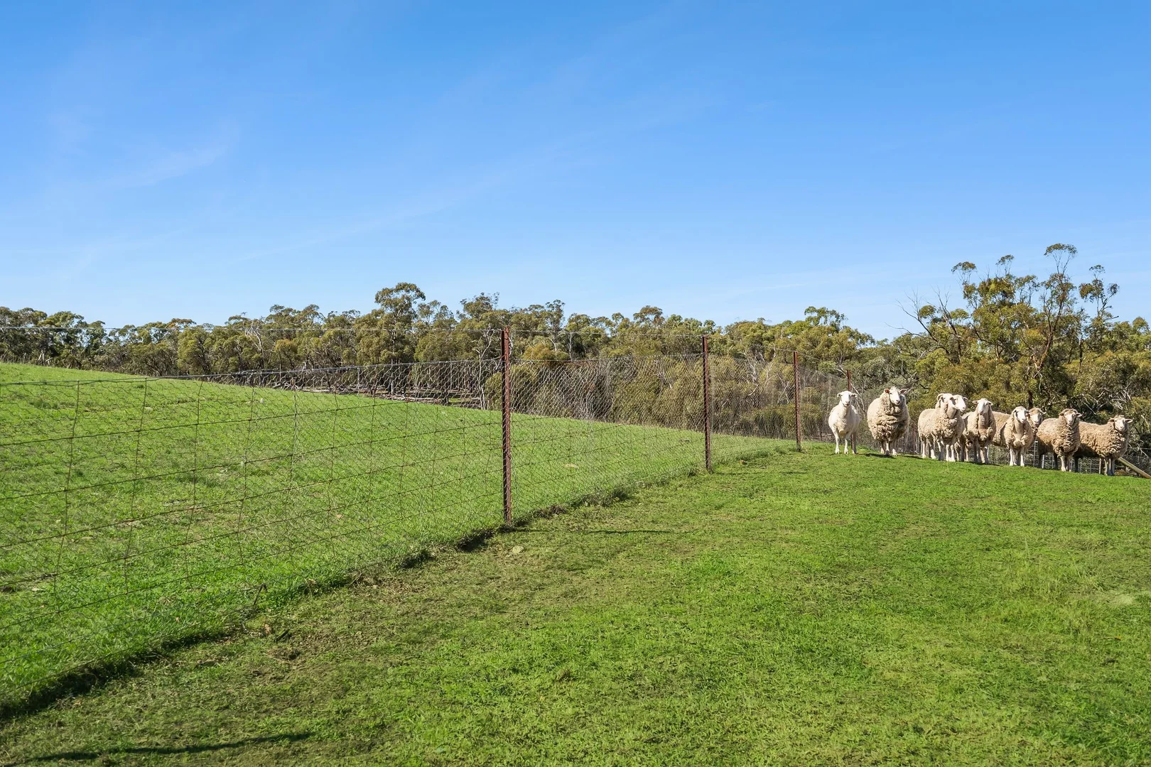 Additional image 20 of 51 Parsons Lane, Goulburn NSW 2580