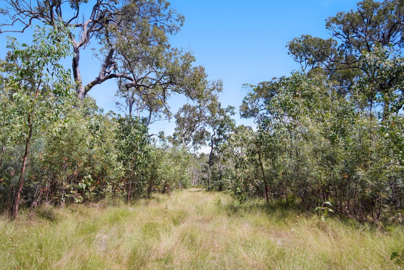 Image 25