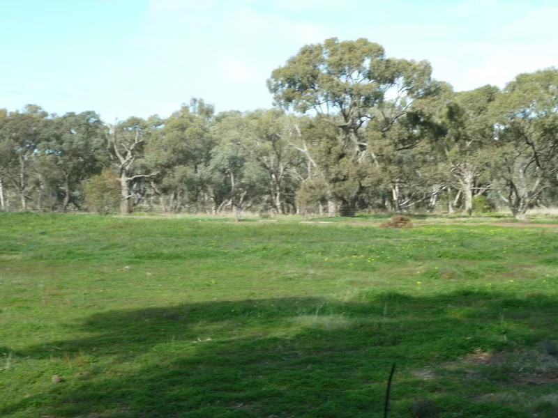 Image 10