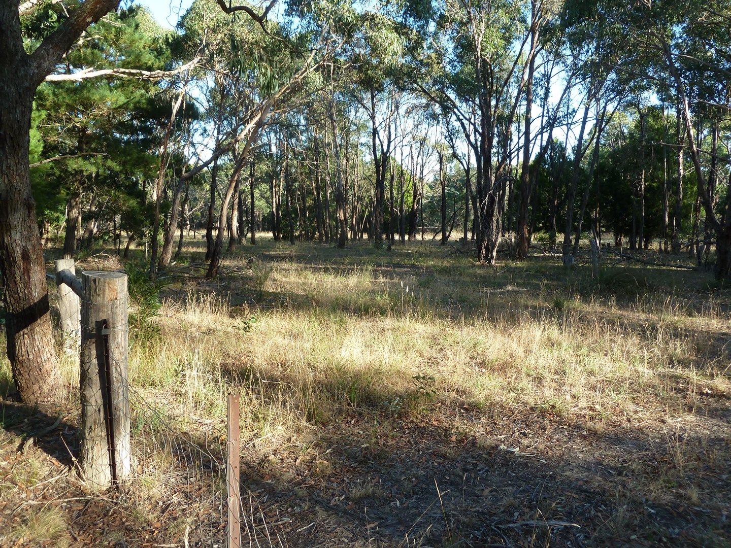 Lot 15 Smythesdale Snake Valley Road, Hillcrest VIC 3351, Image 0