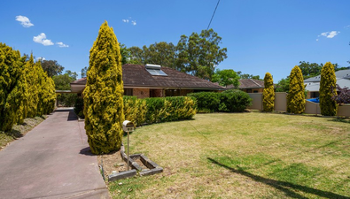 Picture of 82 Fauntleroy Avenue, ASCOT WA 6104