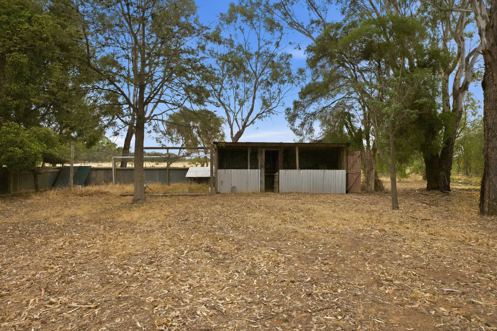 Image 17