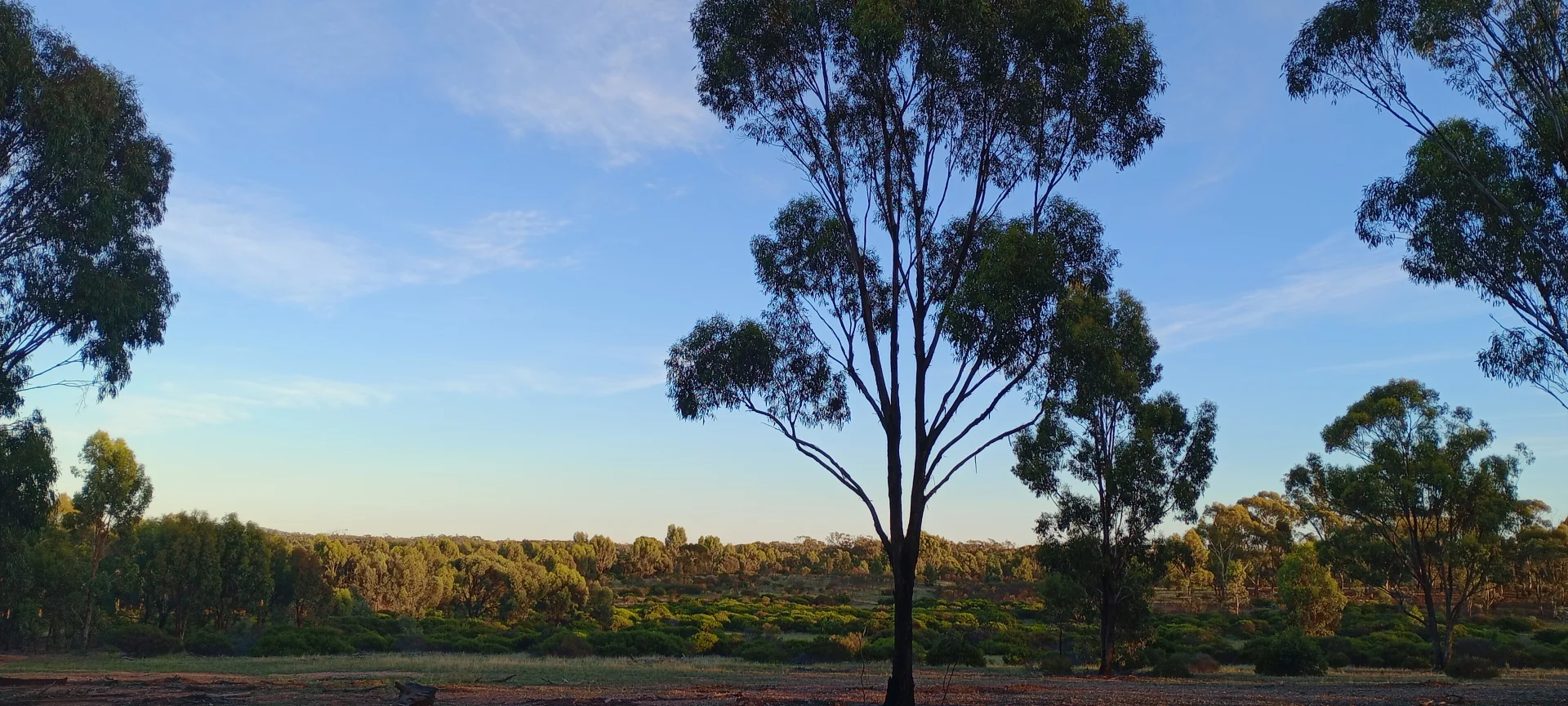 Additional image 25 of Wedderburn VIC 3518