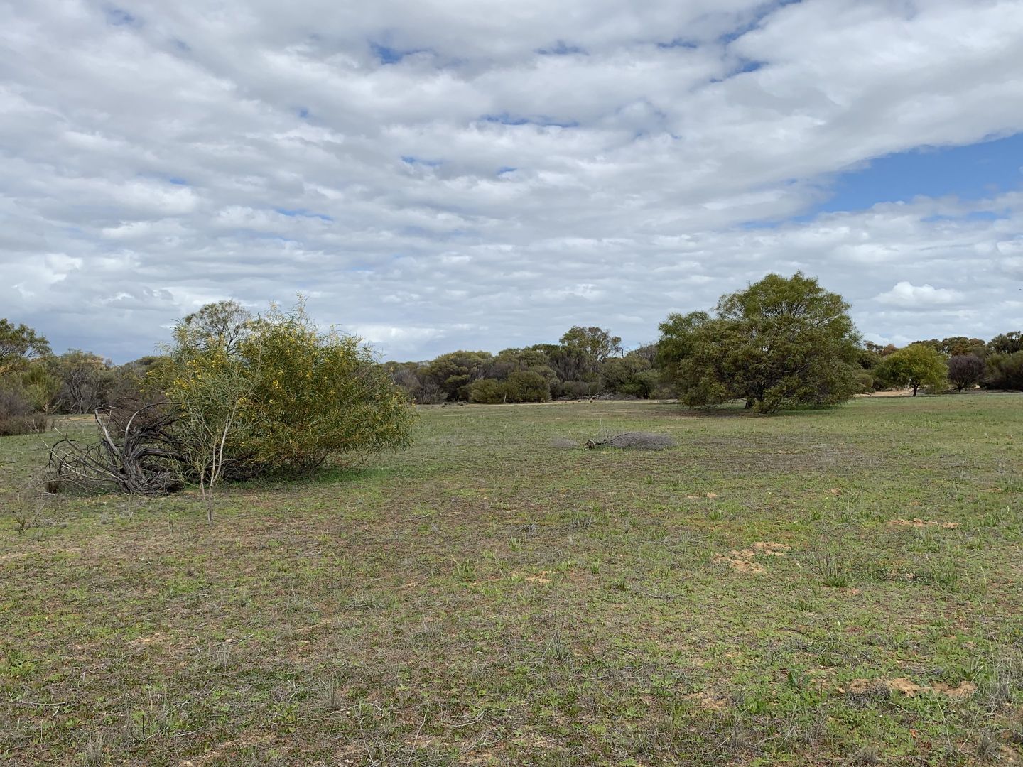 Lot 25253 Ellery Rd, South Burracoppin WA 6421, Image 2