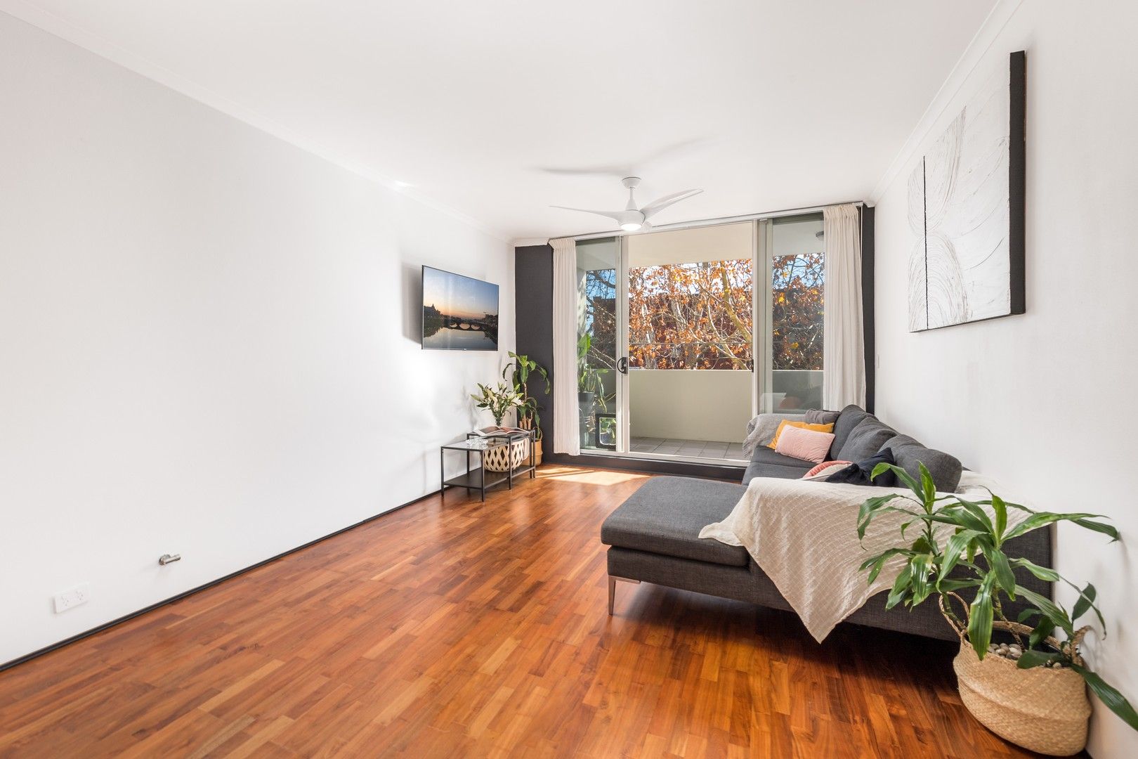 1 bedrooms Apartment / Unit / Flat in 56/57 Ralph Street ALEXANDRIA NSW, 2015